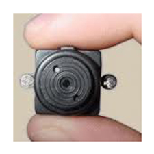 Rilevamento Microspie